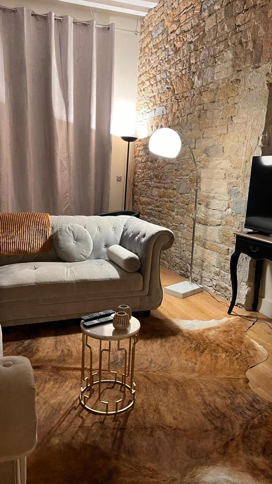 Le Panorama Lejlighed Lyon Eksteriør billede